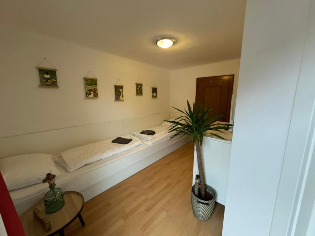 Go For Mountains Appartements Eben Im Pongau Exterior photo